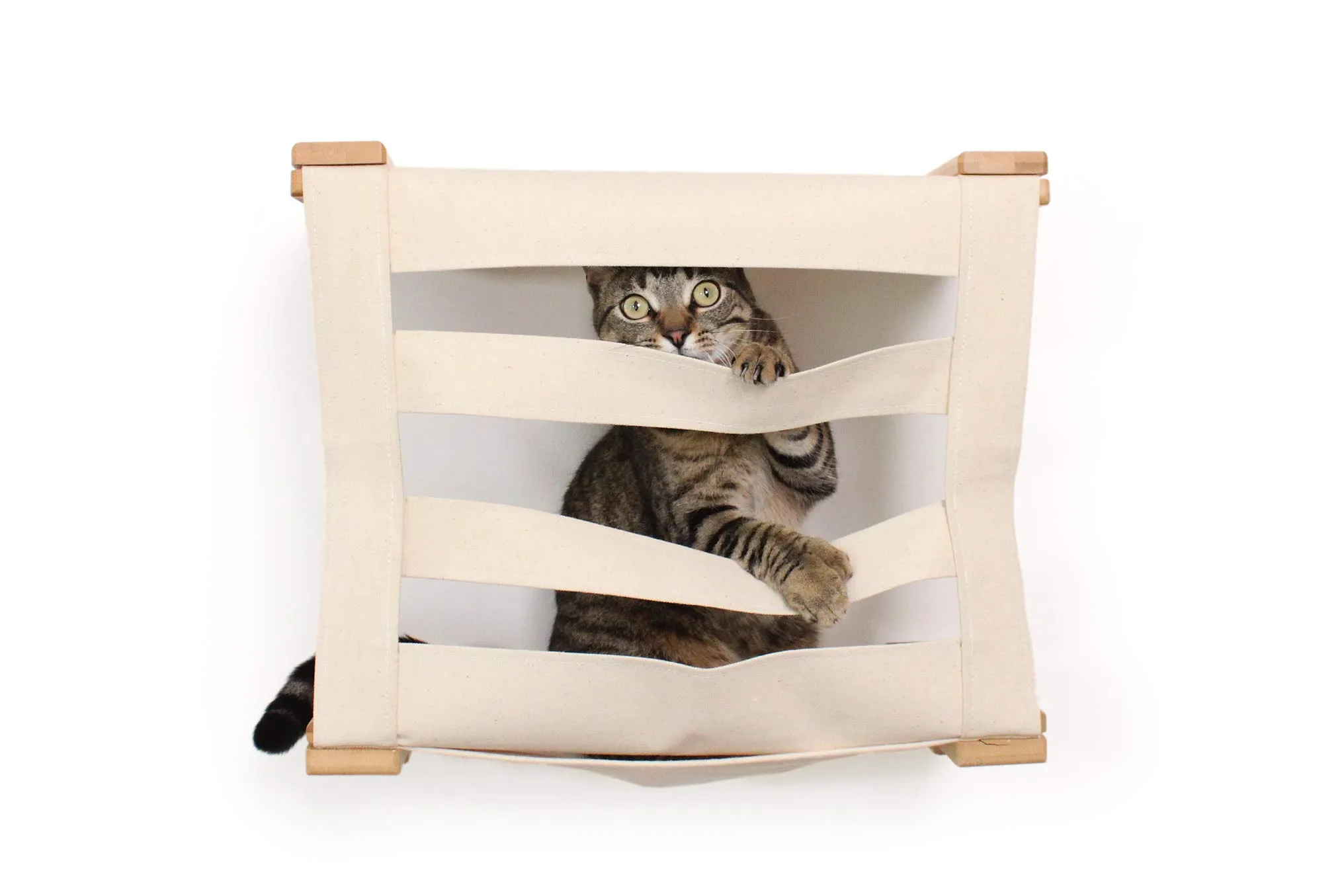 Cat Wall Cubby - Enclosed Cat Bed