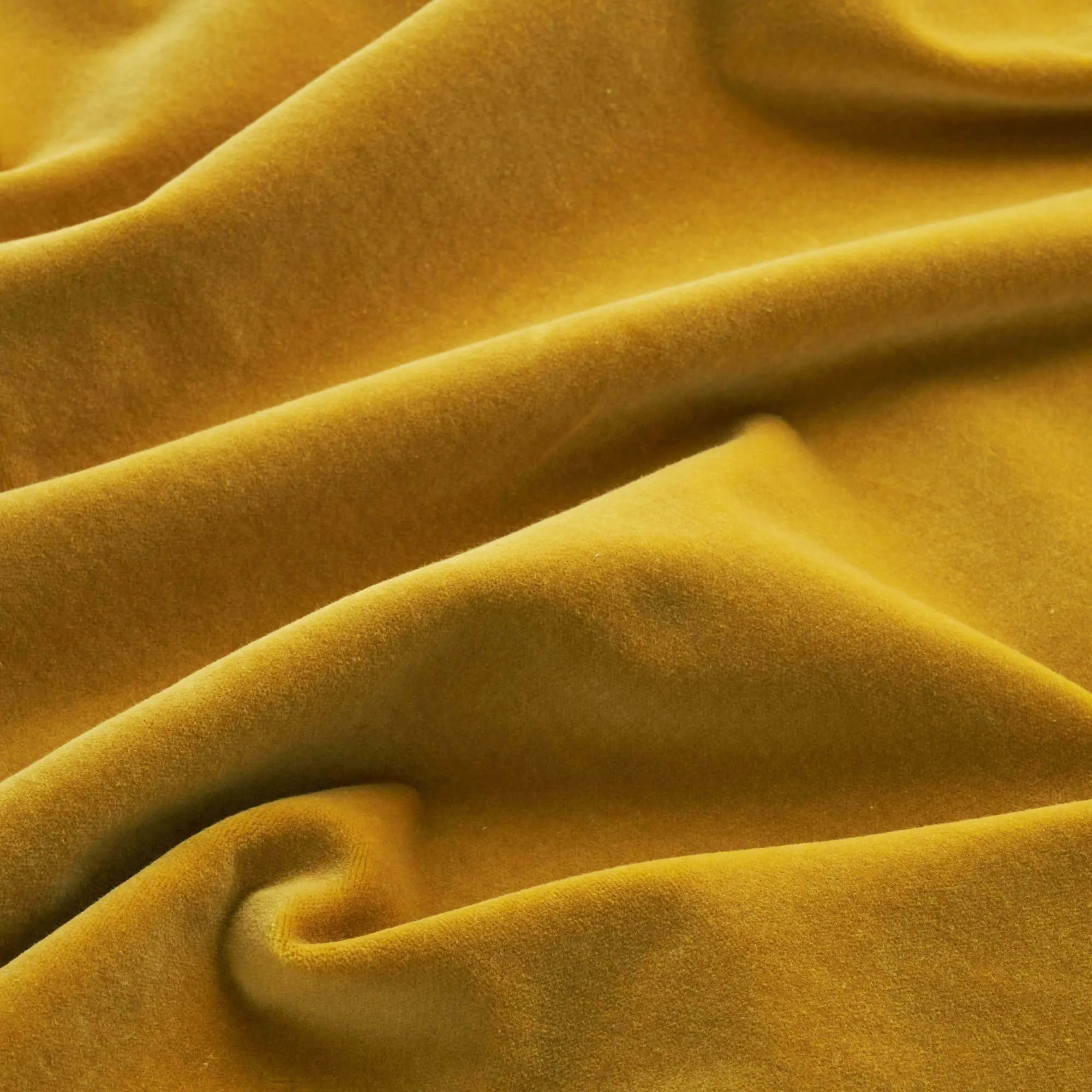 Gold Leaf House Velvet