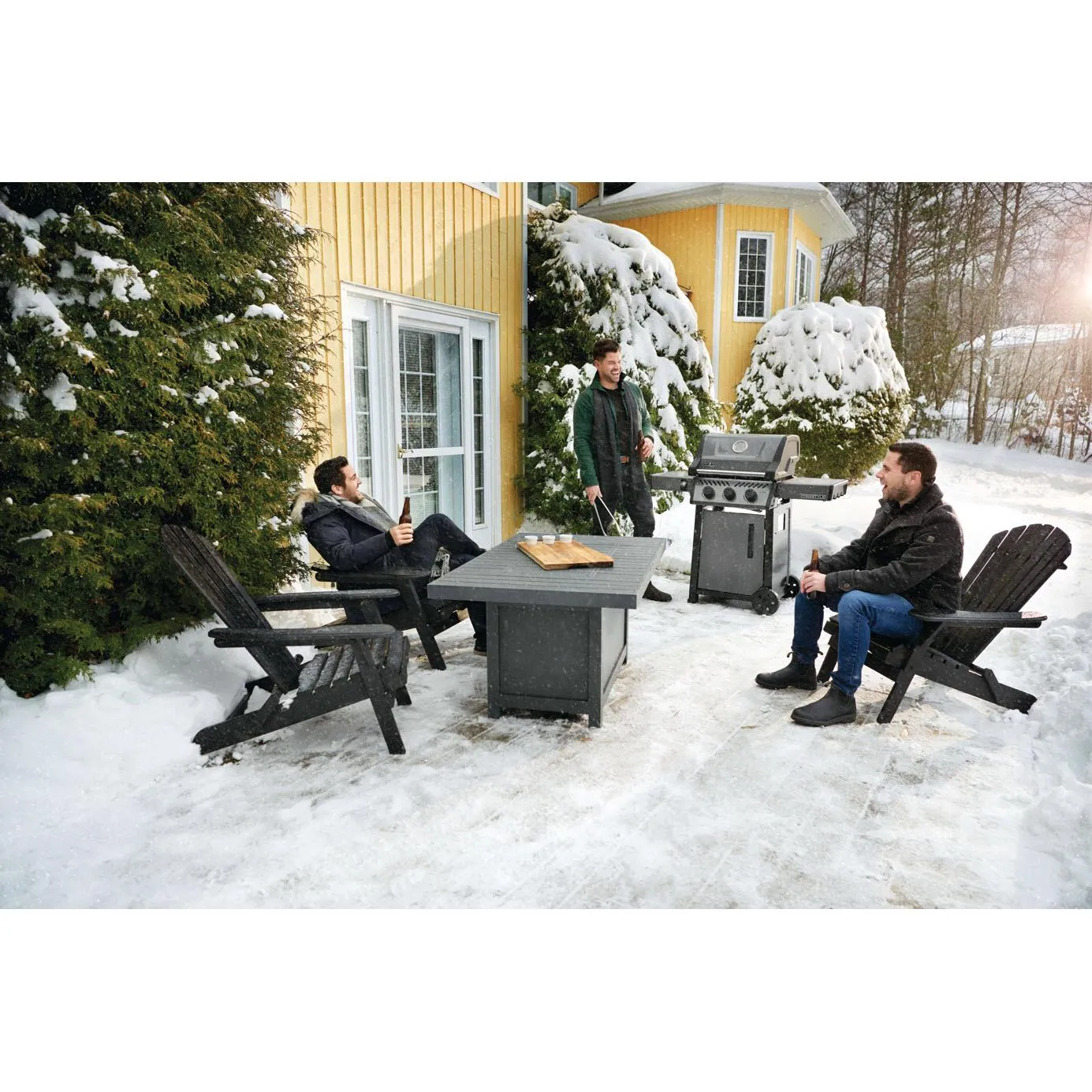 Napoleon Freestyle 365 Gas Grill F365DPGT