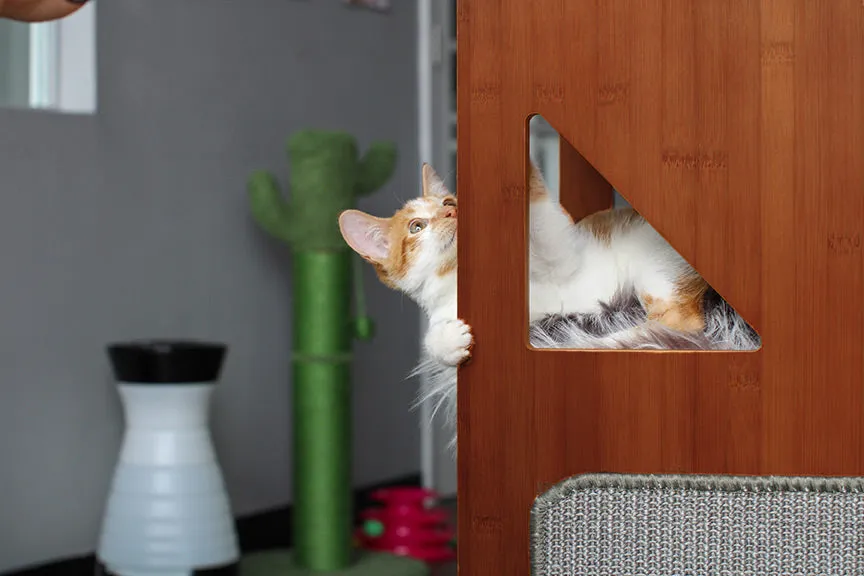 The Overlook - A Cat Tree For Large Cats